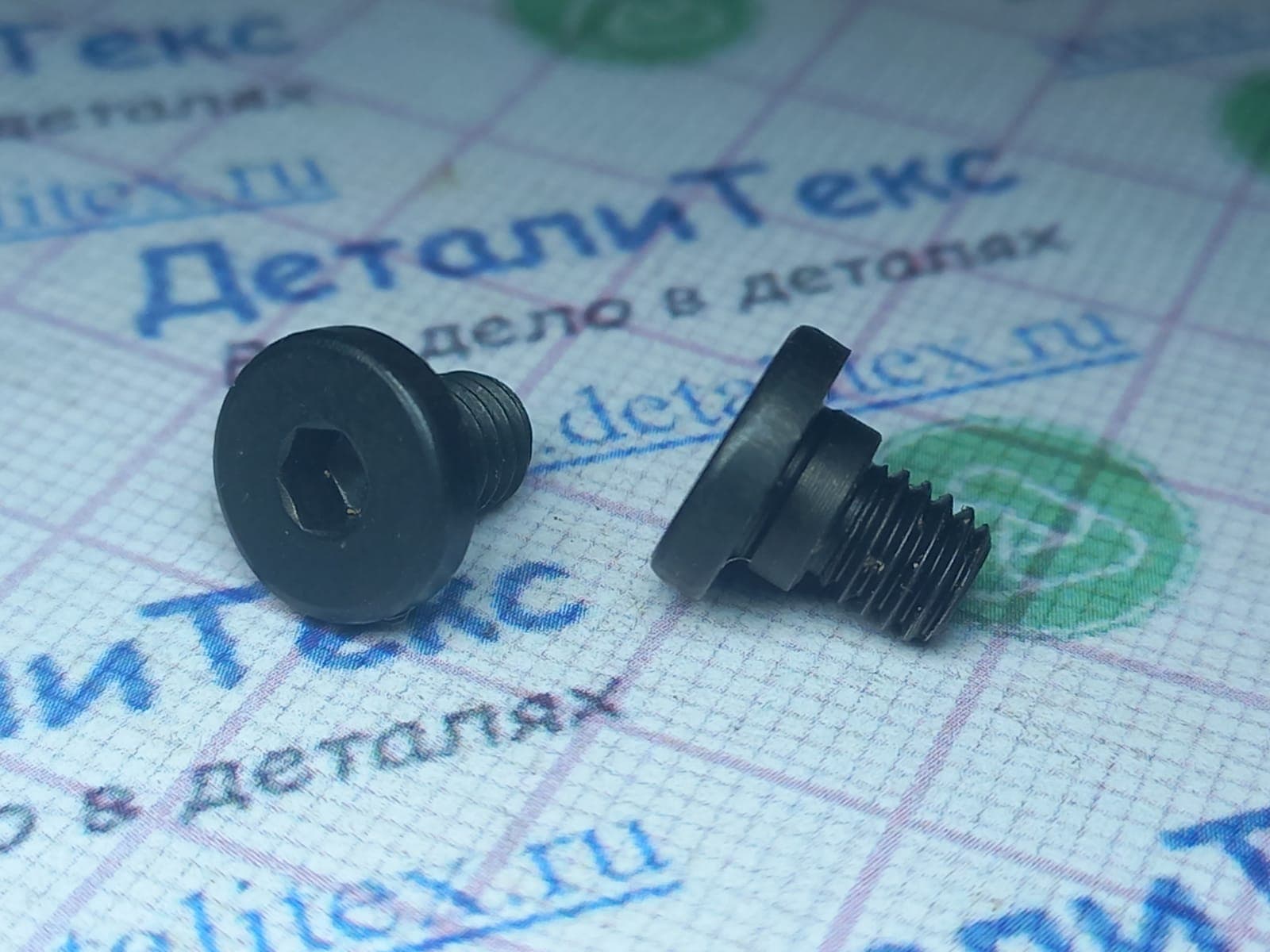 I-E-02-30/21 (I-E-02-14) винт держателя петель М5